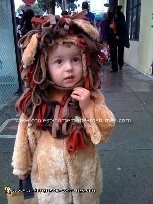 Homemade Lion Costume