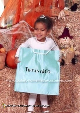 Homemade Little Blue Shopping Bag Costume