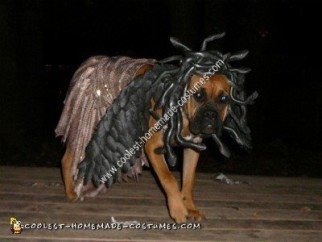 Homemade Medusa Dog Unique Halloween Costume Idea