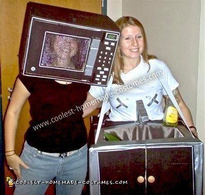 Homemade Microwave and Sink Kitchen Duo Costume