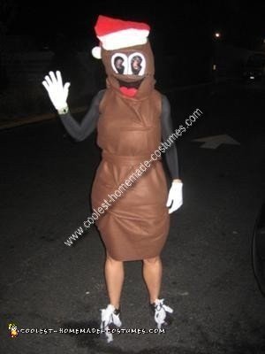 Homemade Mister Hanky the Christmas Poo from South Park Costume