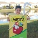 Homemade Mott's Juice Box Costume