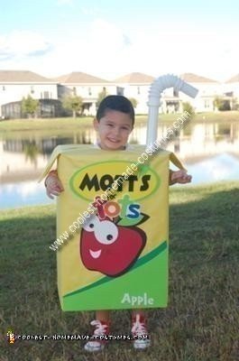 Homemade Mott's Juice Box Costume