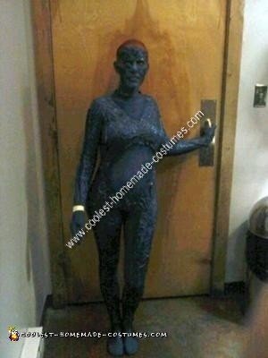 Homemade Mystique Halloween Costume Idea