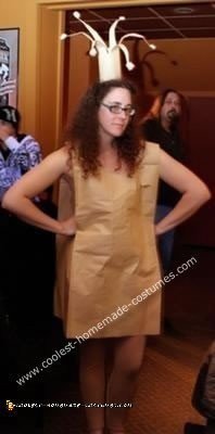 Homemade Paperbag Princess Costume