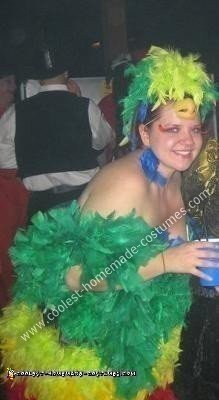 Homemade Parrot Halloween Costume Idea