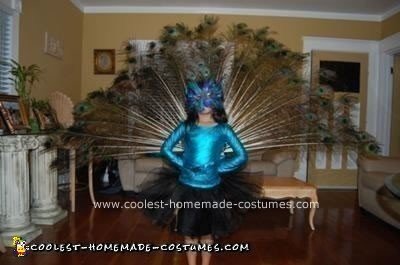 Homemade Peacock Bird Costume