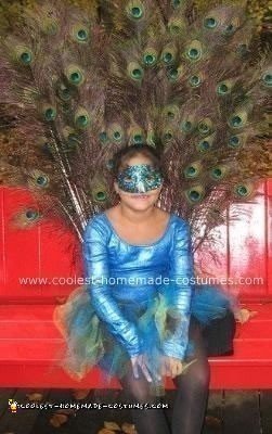 Homemade Peacock Child Costume