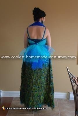 Homemade Peacock Costume