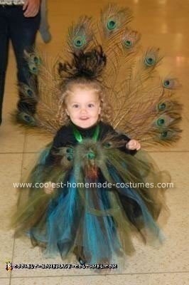 Homemade Peacock Costume