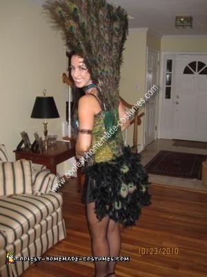 Homemade Peacock Costume