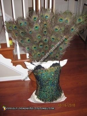 Homemade Peacock Costume