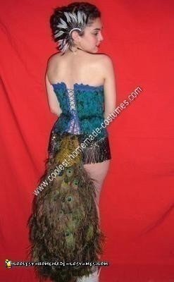 Homemade Peacock Costume