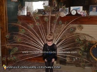 Homemade  Peacock Costume
