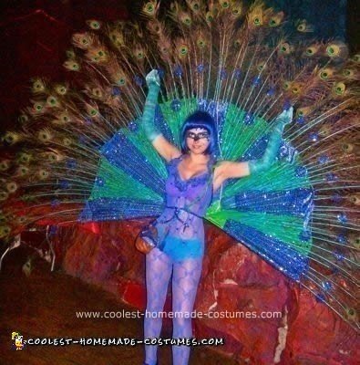 Homemade Peacock Costume