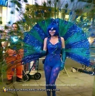 Homemade Peacock Costume