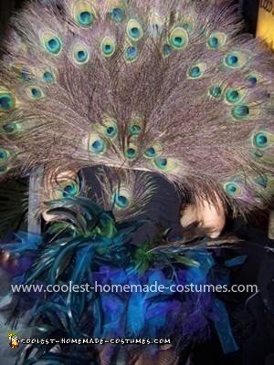 Homemade Peacock Costume