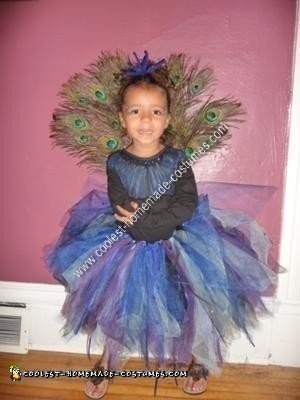 Homemade Peacock Costume for Child