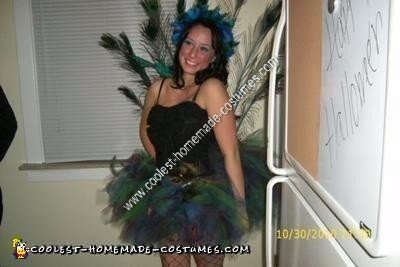 Coolest Homemade Peacock Costume Idea