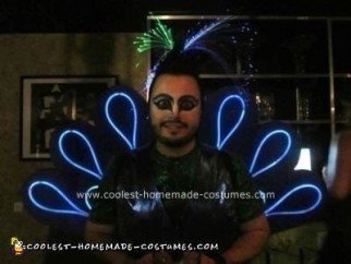 Homemade Peacock DIY Adult Costume Idea