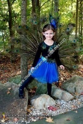 Homemade Peacock Girl's Halloween Costume Idea