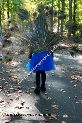 Homemade Peacock Girl's Halloween Costume Idea