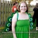 Homemade Peacock Halloween Costume