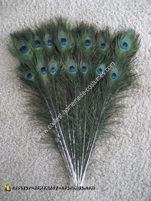 Homemade Peacock Unique Halloween Costume Idea