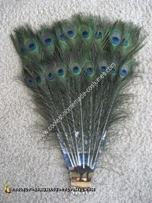 Homemade Peacock Unique Halloween Costume Idea