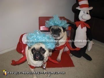 Coolest Homemade Pet Dog Costumes