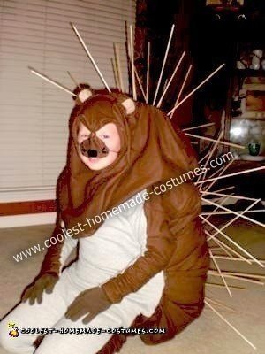 Homemade Playful Porcupine Costume