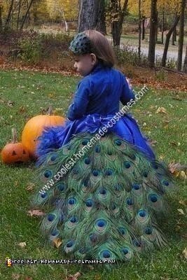 Homemade Pretty Peacock Halloween Costume Idea