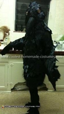 Coolest Homemade Raven Costume