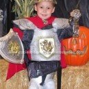 Homemade Royal Knight Halloween Costume