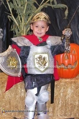 Homemade Royal Knight Halloween Costume