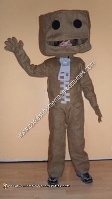 Homemade Sackboy from Little Big Planet Halloween Costume