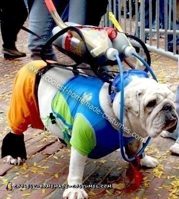 Homemade Scuba Bulldog Costume