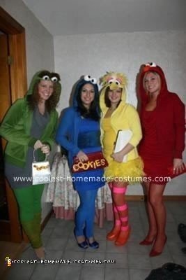 Homemade Sesame Street Group Costume