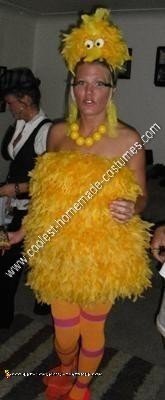 Homemade Sexy Big Bird Halloween Costume Idea