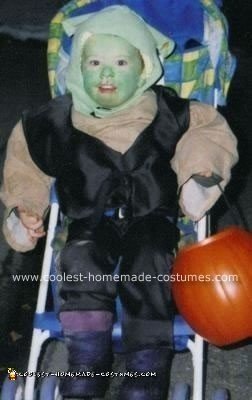 Homemade Shrek Costume