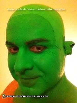 Homemade Shrek Costume