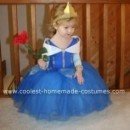 Homemade Sleeping Beauty Costume