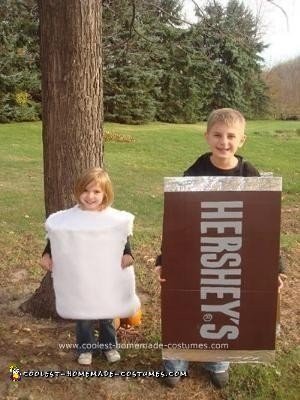 Homemade S'mores Family Halloween Costume