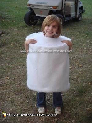 Homemade S'mores Family Halloween Costume