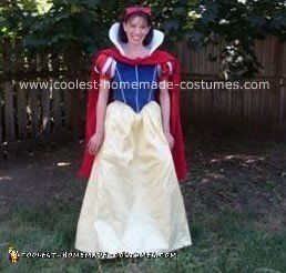 Homemade Snow White Costume