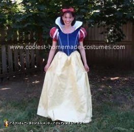 Homemade Snow White Costume