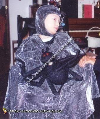 Homemade Spider Web Wheelchair Costume