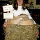 Homemade Sweet Roll in the Hay Wordplay Costume