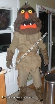 Homemade Sweetums from The Muppet Show Costume