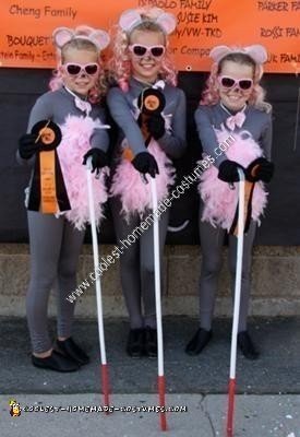 Homemade Three Blind Mice Girls Group Halloween Costume